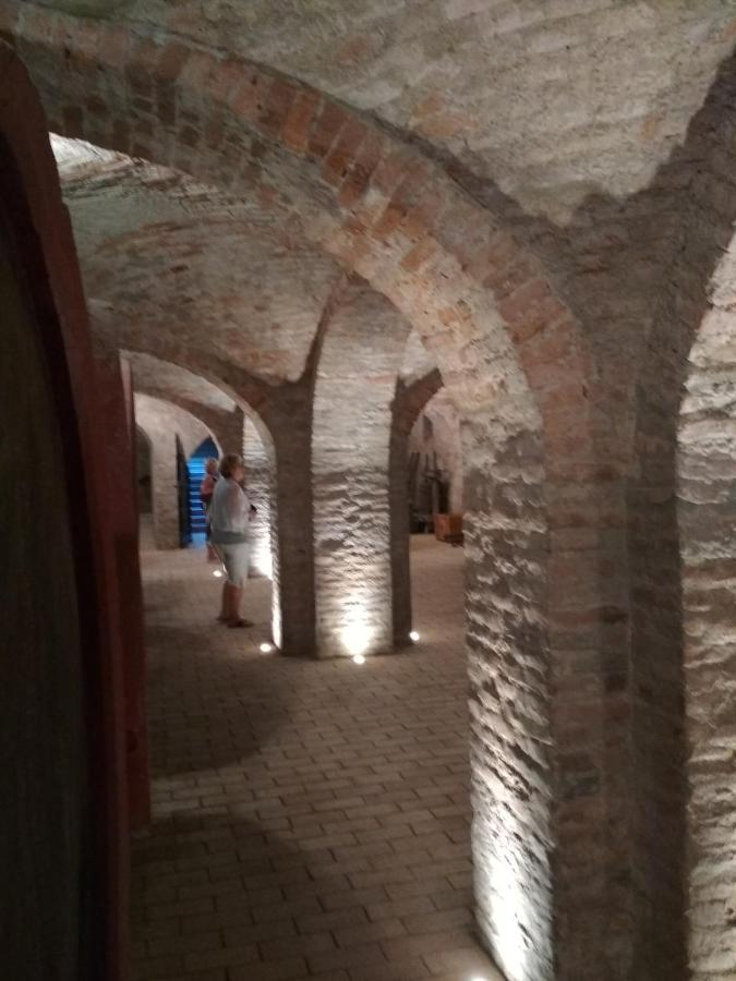 Golya Vendeghaz Apartment Tiszaug Exterior foto